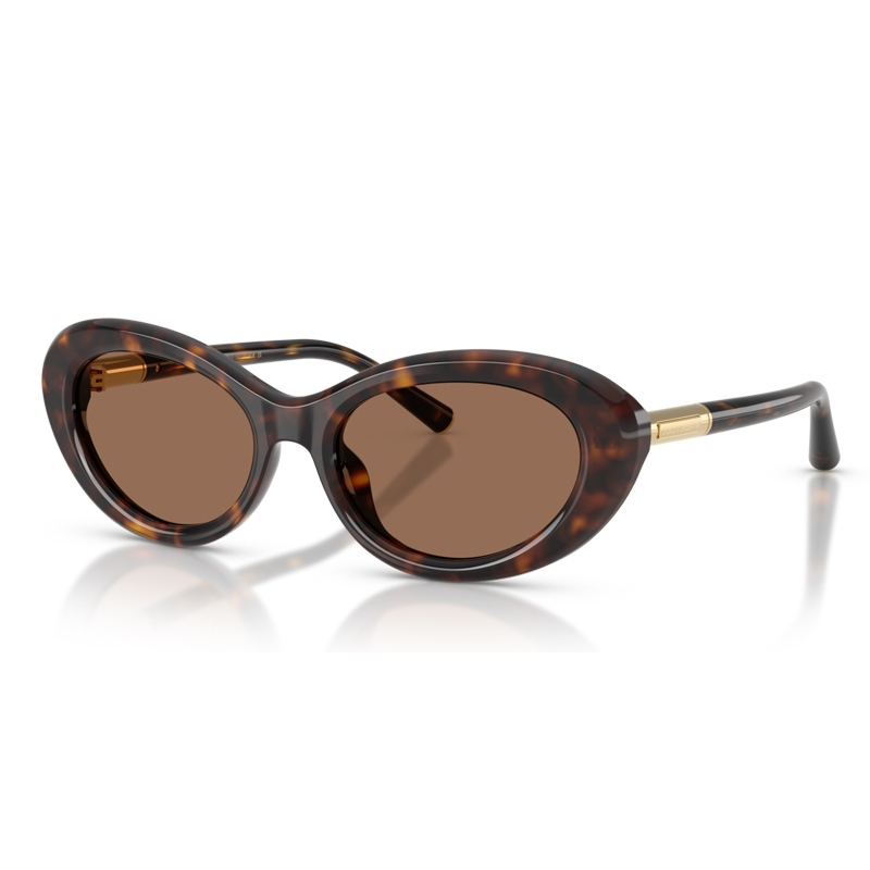 DOLCE E GABBANA 0DG4519-50273