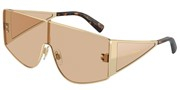 Dolce e Gabbana 0DG2305-13655A