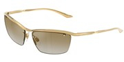 Dolce e Gabbana 0DG2307-026E