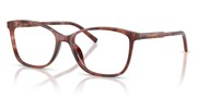 Dolce e Gabbana 0DG3424-3444