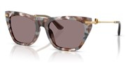 Dolce e Gabbana 0DG4511-34457N
