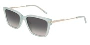DKNY DK713S-310