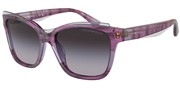 Emporio Armani 0EA4209-60568G