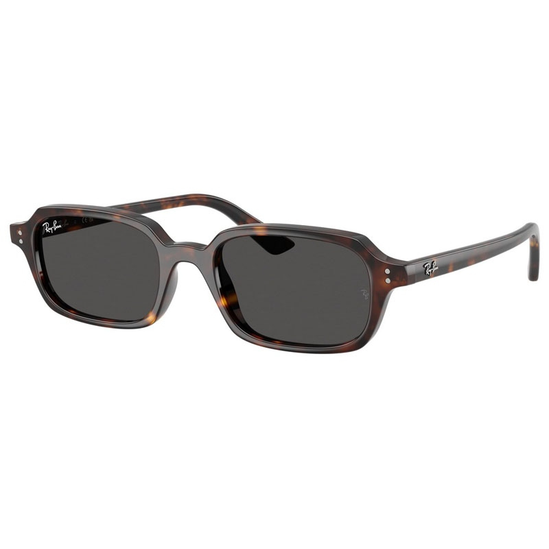 RAY BAN 0RB4455-135987