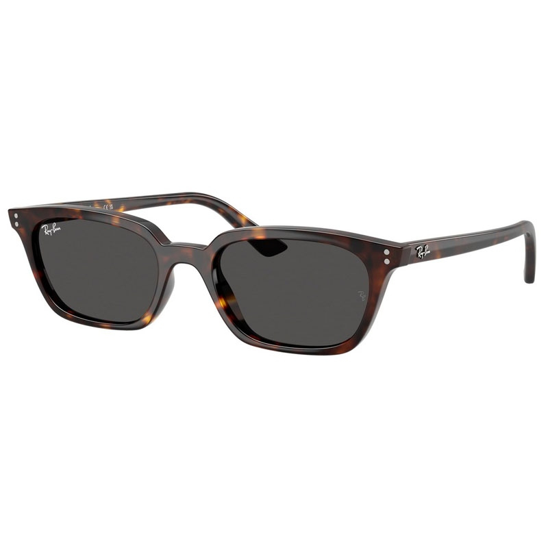 RAY BAN 0RB4456-135987