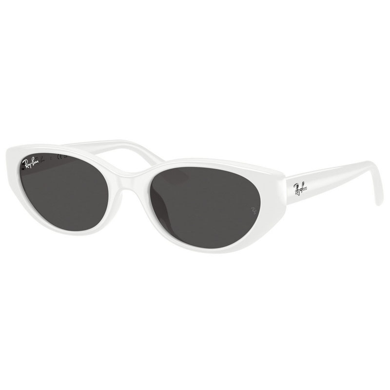 RAY BAN 0RB4457D-677287