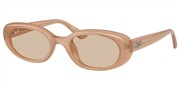 Ray Ban 0RB4441D-678793
