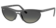 Ray Ban 0RB4453-601711