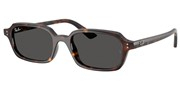 Ray Ban 0RB4455-135987
