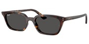 Ray Ban 0RB4456-135987