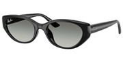 Ray Ban 0RB4457D-667711