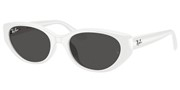 Ray Ban 0RB4457D-677287