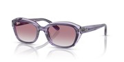 Ray Ban 0RJ9081S-71748G