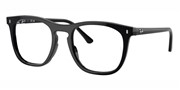 Ray Ban 0RX2210V-2000