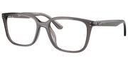 Ray Ban 0RX7248D-8257