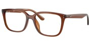 Ray Ban 0RX7248D-8409