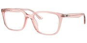 Ray Ban 0RX7248D-8410