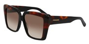 Salvatore Ferragamo SF1060SN-006