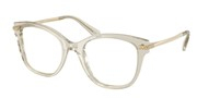 Swarovski Eyewear 0SK2044-3003