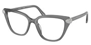 Swarovski Eyewear 0SK2045-1072