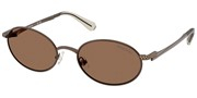 Swarovski Eyewear 0SK7033-400273